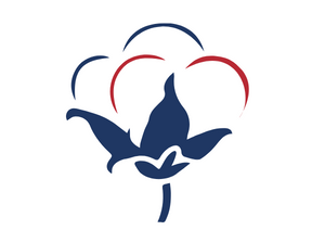 Attestation Double Gaze de Coton